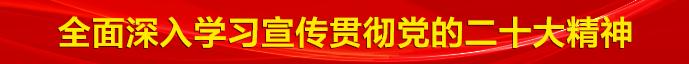 广阳区举办“劳动最光荣 青春展风采”公益慰问演出