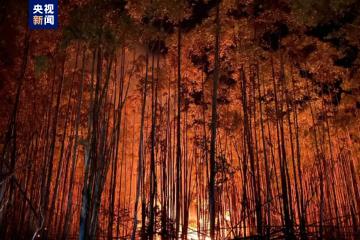 超1.7万起 极端天气致巴西火灾数量超历史同期