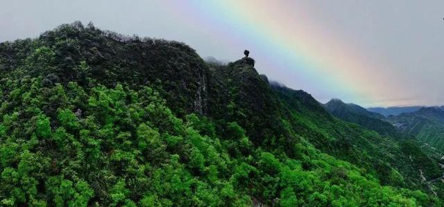 浦江这些山美成仙境，你去过了吗？丨乐游长三角