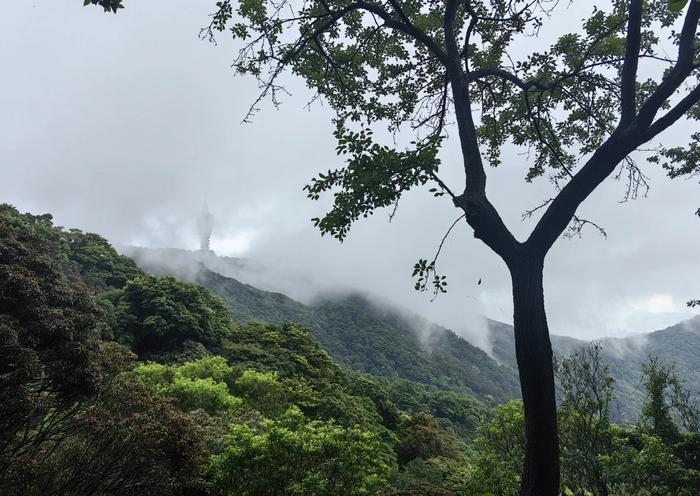 对面的城市看过来 | 攀岳麓览长沙，登梧桐赏深圳