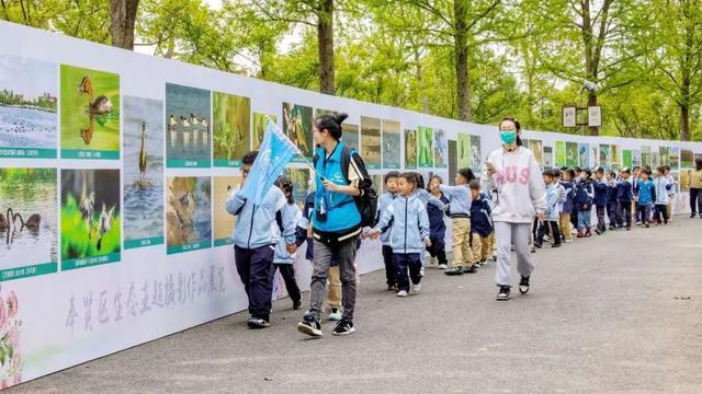 等风来，等您来！五一假期，邂逅2024奉贤区全域花展的浪漫之旅→