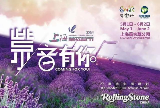紫色花海来袭！2024上海薰衣草节开幕