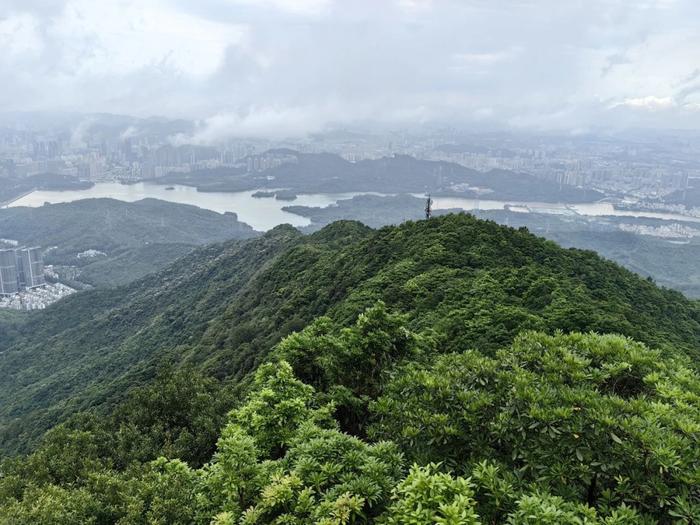 对面的城市看过来 | 攀岳麓览长沙，登梧桐赏深圳