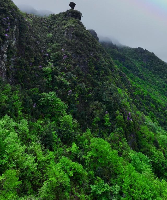 浦江这些山美成仙境，你去过了吗？丨乐游长三角