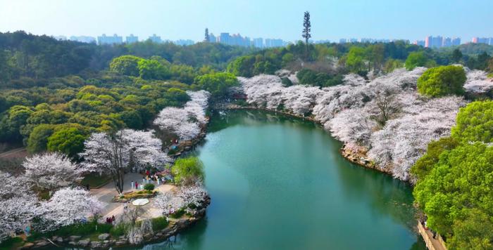 长沙“五一”攻略 ｜ 来雨花！露营、夜市、博物馆……就是这么快乐！