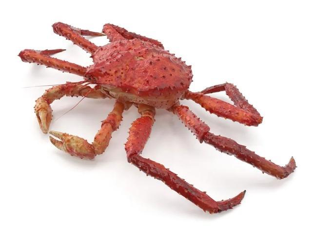 你吃的螃蟹其实是“假螃蟹”？！