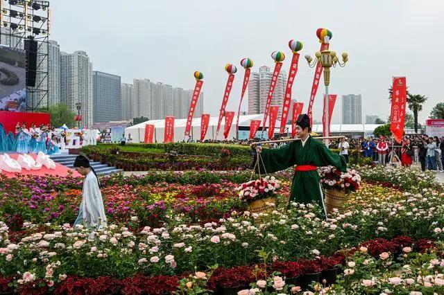 你的“旅游搭子”上线｜抓住春天的尾巴，来河南赏花