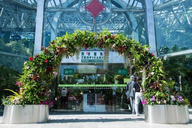 来上海植物园看花展，别忘了打卡热带花卉艺术展噢～