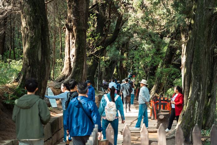 文旅融合绽放时代光彩，四川文化遗产类景区成为旅游热门目的地