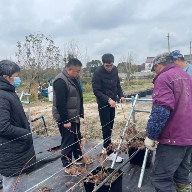 假期收尾，不如来西渡关港村体验一场“莓”好露营！