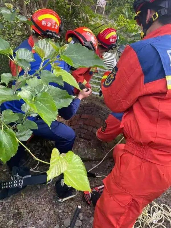 事发宁波一小区附近，11岁男孩在采摘桑果过程中不慎坠入6米深井