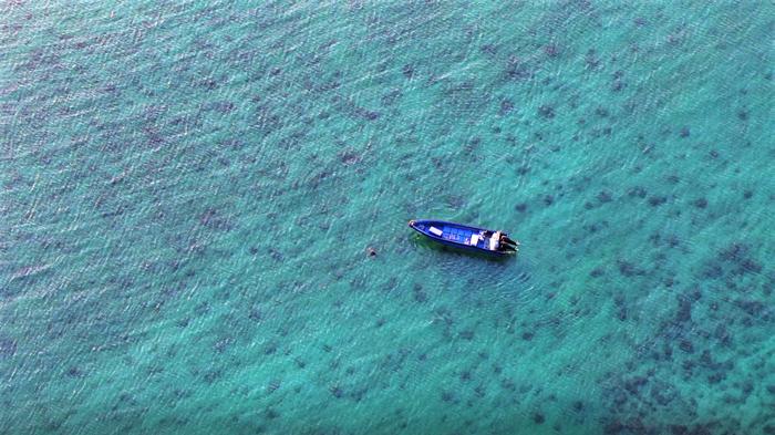 国色山河·立夏｜只此青粲“玻璃海”，探赏广西海底江山图