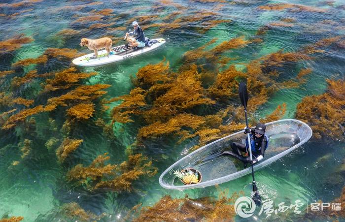 国色山河·立夏｜只此青粲“玻璃海”，探赏广西海底江山图