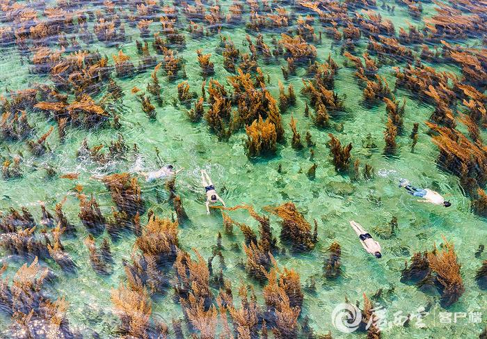 国色山河·立夏｜只此青粲“玻璃海”，探赏广西海底江山图