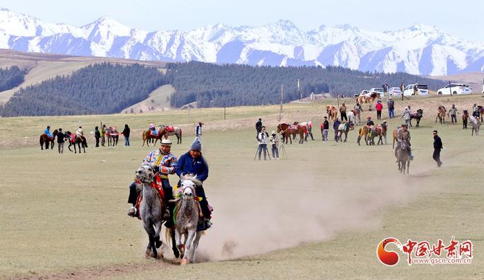 【甘快看】陇拍客丨肃南：祁连山下骏马驰骋庆“五一”