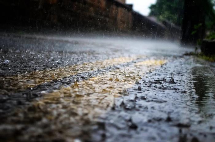 【新闻早茶】节后河北多地迎降雨天气，雨天行车注意安全！还有这些热点……