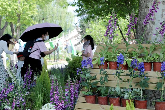 花草世界绿意生活 首都市民花园节举办