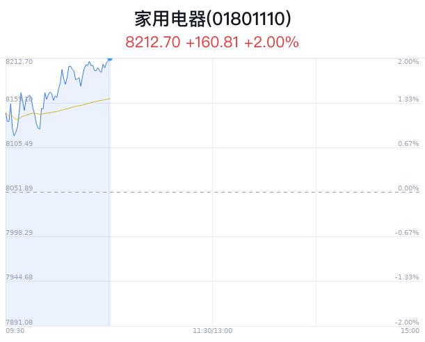 家用电器行业盘中拉升，金海高科等2只股票涨停