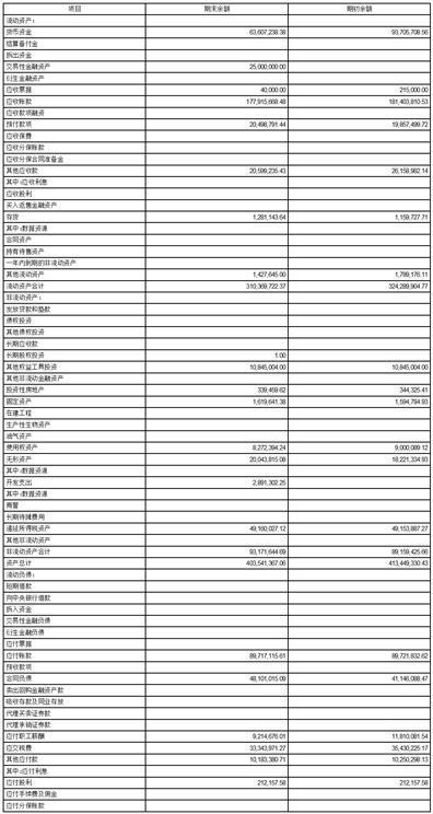 证券代码：000004   证券简称：国华网安  公告编号：2024-011