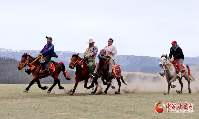 【甘快看】陇拍客丨肃南：祁连山下骏马驰骋庆“五一”