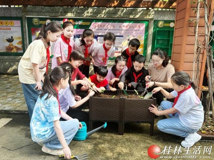 播撒太空种子  孕育蓝色梦想 --桂林市平山小学开展太空种子种植活动