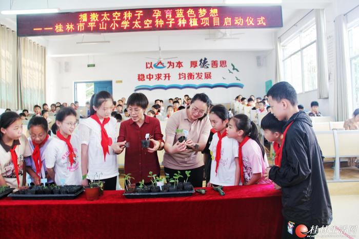 播撒太空种子  孕育蓝色梦想 --桂林市平山小学开展太空种子种植活动