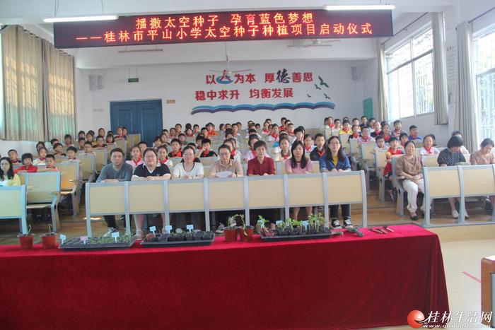 播撒太空种子  孕育蓝色梦想 --桂林市平山小学开展太空种子种植活动