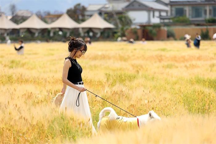 【高清组图】大理喜洲：在“有风的地方”感受诗意生活