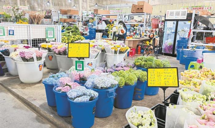 成都世园会催热“花卉经济”  逛完展园到市场买同款鲜花