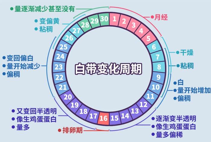 女性排卵时，身体会发生这 4 种容易被误解的变化……