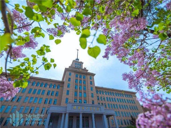 全景沉浸式赏花｜7日来看“丁香花开”哈尔滨工业大学丁香季主题慢直播