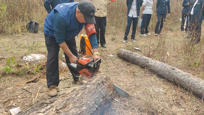 ​六招齐发，凉山这样攻克“松树癌症”