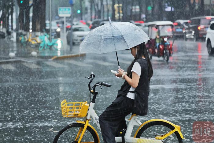 C视频丨雨中即景：成都开启“夏雨”模式 出门别忘记备把伞