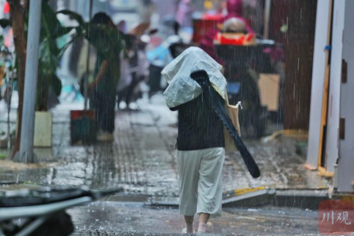 C视频丨雨中即景：成都开启“夏雨”模式 出门别忘记备把伞