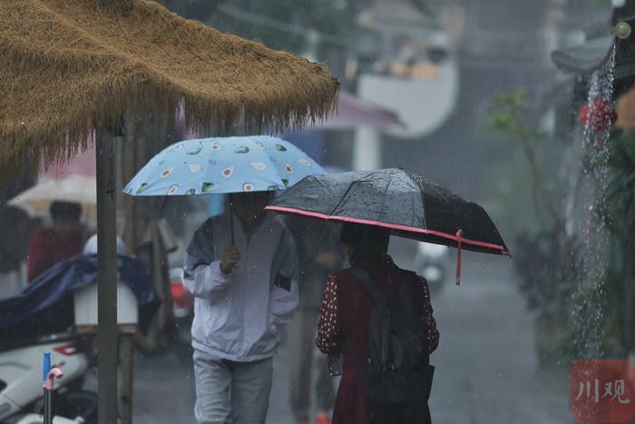 C视频丨雨中即景：成都开启“夏雨”模式 出门别忘记备把伞