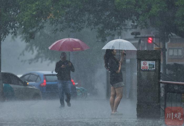 C视频丨雨中即景：成都开启“夏雨”模式 出门别忘记备把伞