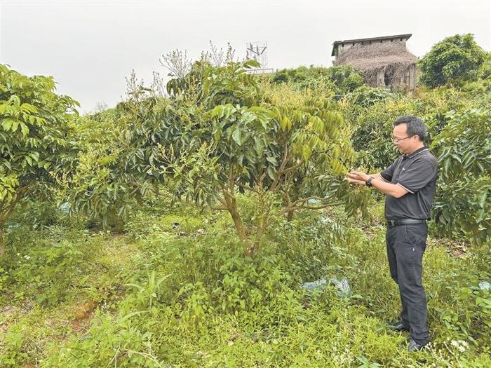 传统农业提质升级 新兴产业接连孵化