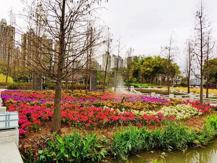 建设现代优美花园城市！惠州生态修复规划出台