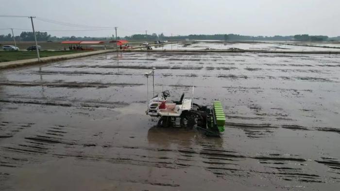 卫星加持！湛江首个“水稻无人农场”播种效率是人工20倍