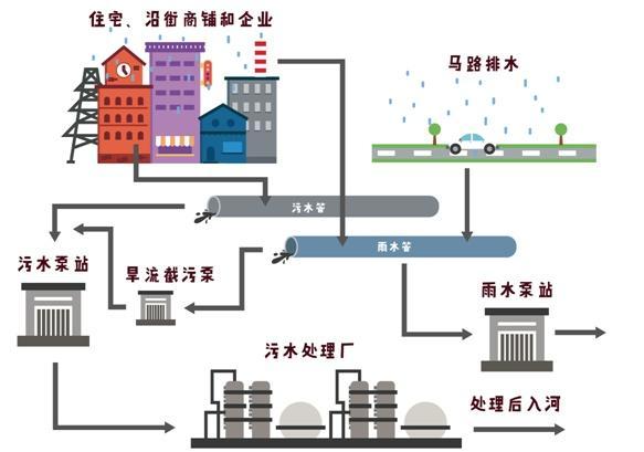 雨水和生活污水，如何“各行其道”？丨排水与生活