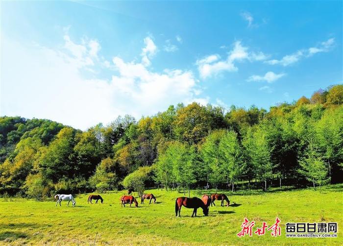 【图片新闻】清水县山门镇芦子滩绿草如茵 风景如画