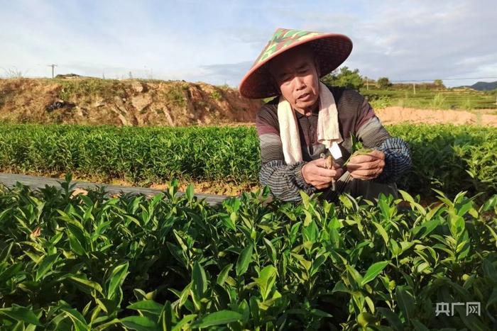 福建践行大食物观成效显著：四季瓜果飘香 有山珍也有海味