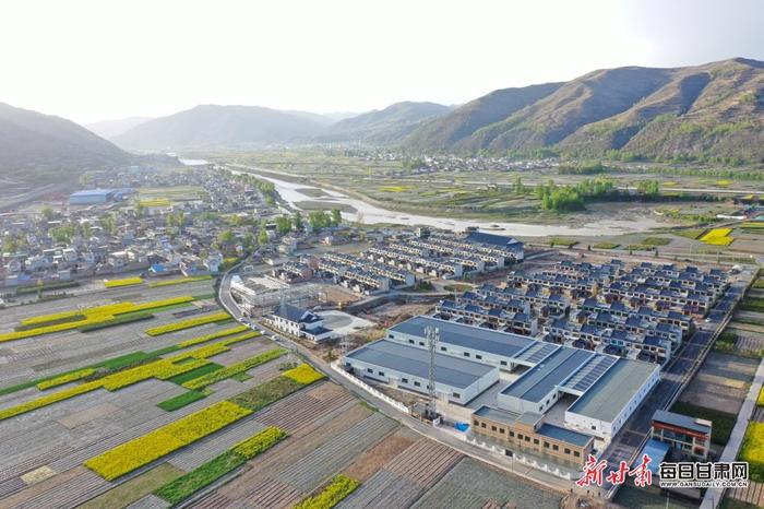 油菜花开十里香 岷县田园处处景