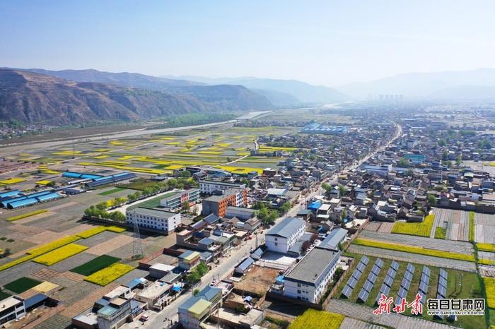 油菜花开十里香 岷县田园处处景