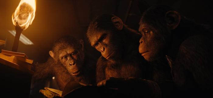 《猩球崛起：新世界》在蓉举行提前观影活动 体验“专属于影院的临场感”