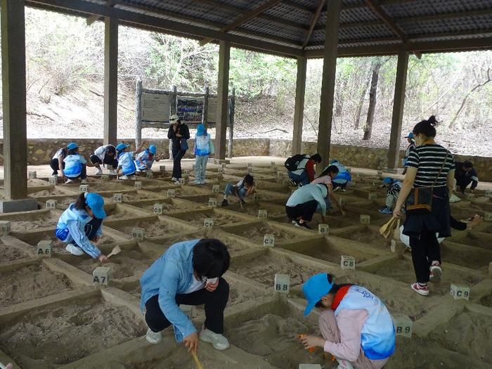 打卡“北京人”遗址 聆听万年“回响”