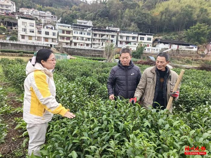 好甜！福建这位女专家，太牛了！