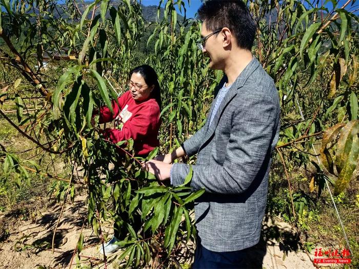 好甜！福建这位女专家，太牛了！