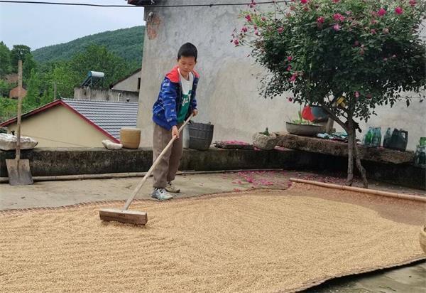 东风51小学：“五一”假期欢乐多，特色作业展成果