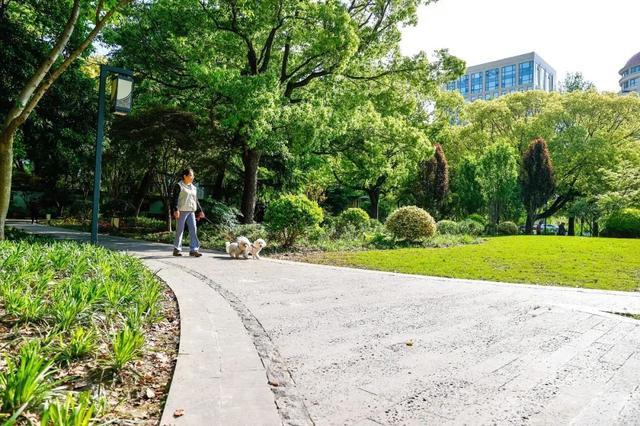 家门口逛公园丨通波塘旁有个老水厂街心花园，你去过吗？